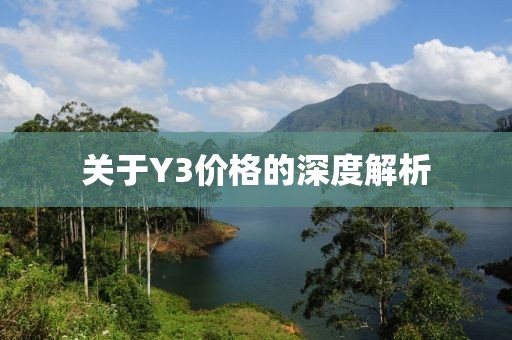 关于Y3价格的深度解析