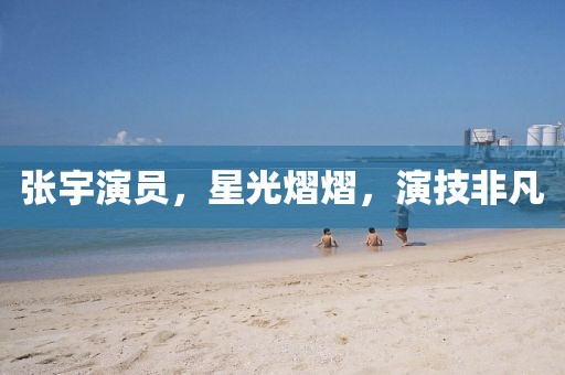 张宇演员，星光熠熠，演技非凡