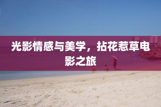 光影情感与美学，拈花惹草电影之旅