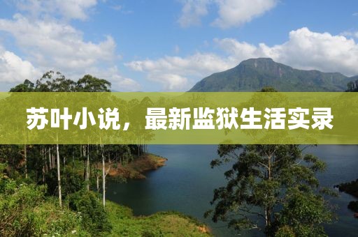 苏叶小说，最新监狱生活实录