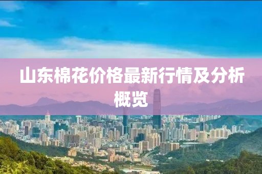山东棉花价格最新行情及分析概览