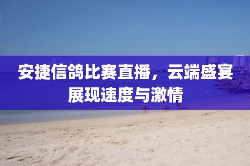 安捷信鸽比赛直播，云端盛宴展现速度与激情