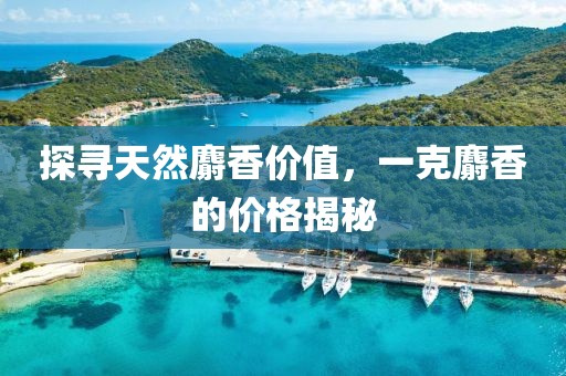 探寻天然麝香价值，一克麝香的价格揭秘