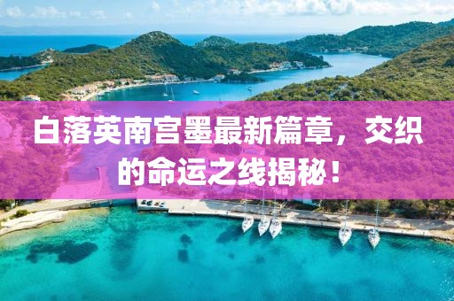 白落英南宫墨最新篇章，交织的命运之线揭秘！