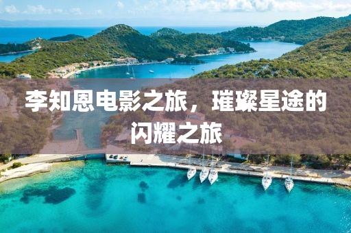 李知恩电影之旅，璀璨星途的闪耀之旅