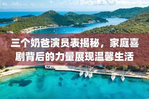 三个奶爸演员表揭秘，家庭喜剧背后的力量展现温馨生活