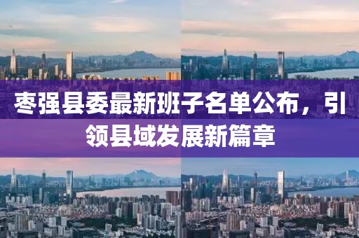 枣强县委最新班子名单公布，引领县域发展新篇章