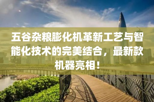 五谷杂粮膨化机革新工艺与智能化技术的完美结合，最新款机器亮相！