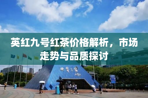 英红九号红茶价格解析，市场走势与品质探讨