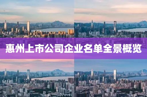 惠州上市公司企业名单全景概览