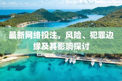 最新网络投注，风险、犯罪边缘及其影响探讨