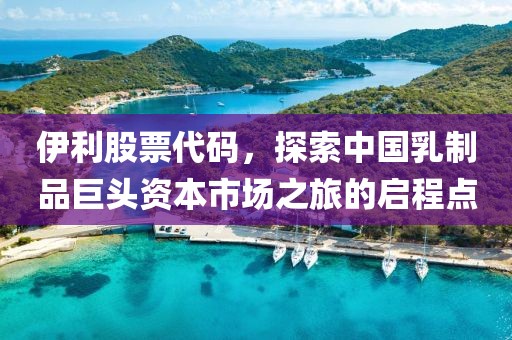 伊利股票代码，探索中国乳制品巨头资本市场之旅的启程点