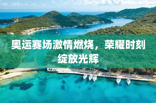 奥运赛场激情燃烧，荣耀时刻绽放光辉