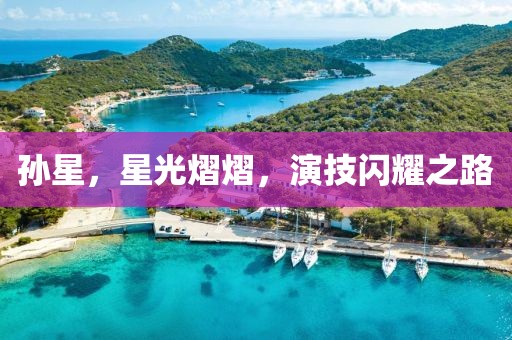 孙星，星光熠熠，演技闪耀之路