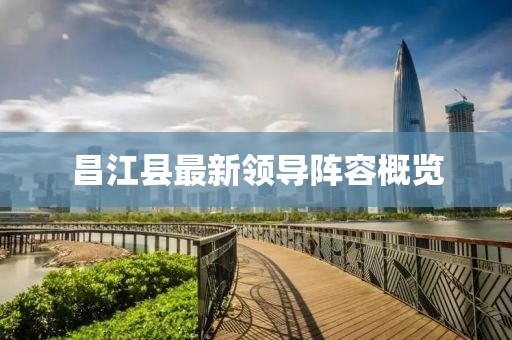 昌江县最新领导阵容概览