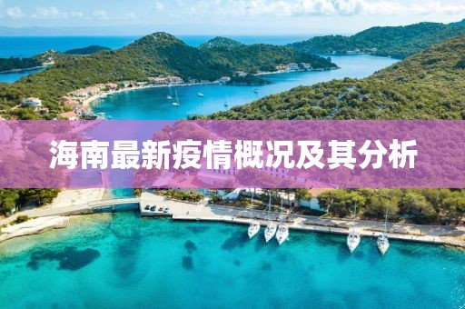 海南最新疫情概况及其分析
