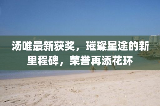 汤唯最新获奖，璀璨星途的新里程碑，荣誉再添花环