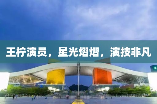 王柠演员，星光熠熠，演技非凡
