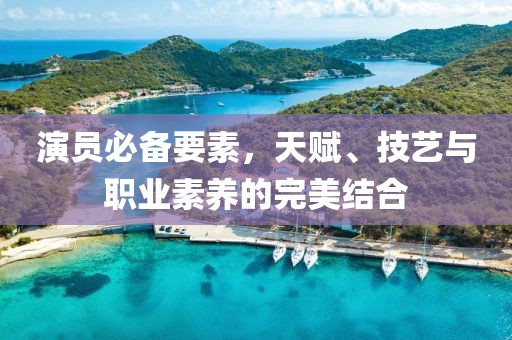 演员必备要素，天赋、技艺与职业素养的完美结合