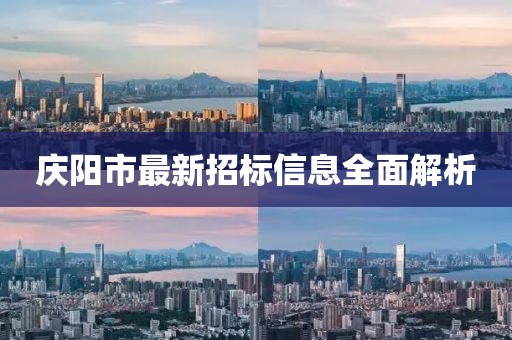庆阳市最新招标信息全面解析