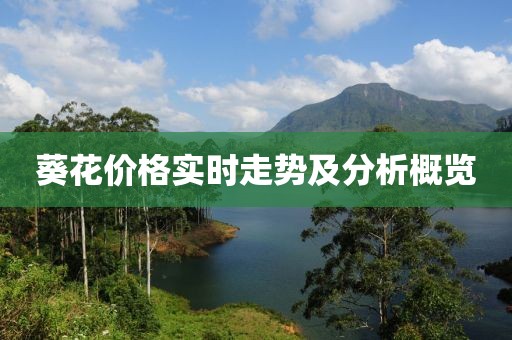 葵花价格实时走势及分析概览