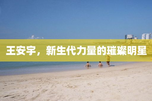 王安宇，新生代力量的璀璨明星