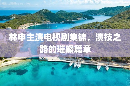 林申主演电视剧集锦，演技之路的璀璨篇章
