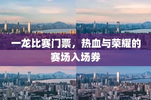 一龙比赛门票，热血与荣耀的赛场入场券