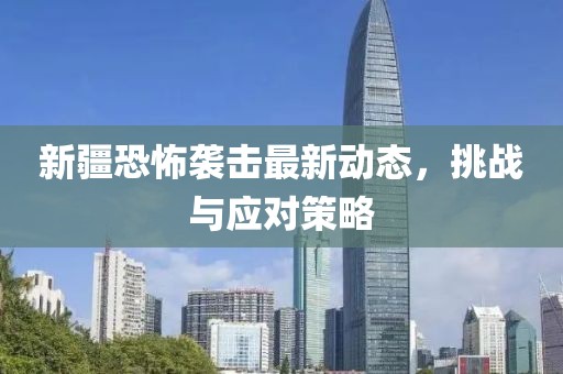 新疆恐怖袭击最新动态，挑战与应对策略