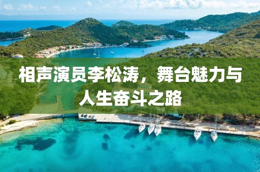 相声演员李松涛，舞台魅力与人生奋斗之路