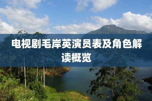 电视剧毛岸英演员表及角色解读概览