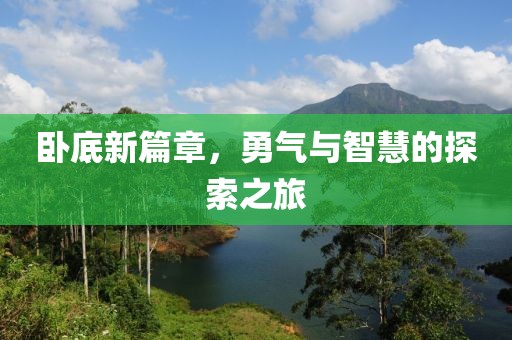 卧底新篇章，勇气与智慧的探索之旅
