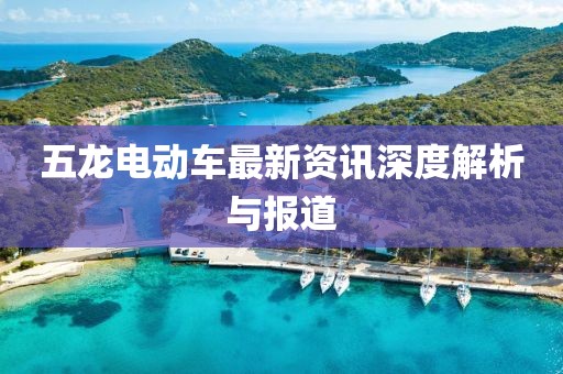 五龙电动车最新资讯深度解析与报道