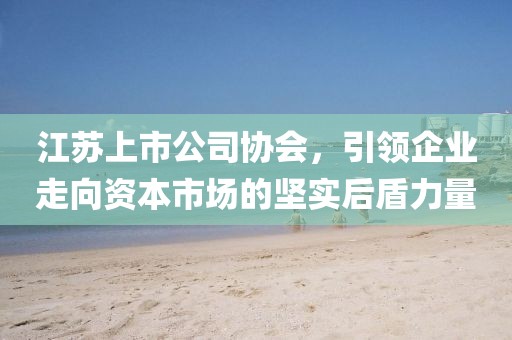 江苏上市公司协会，引领企业走向资本市场的坚实后盾力量