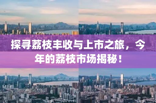 探寻荔枝丰收与上市之旅，今年的荔枝市场揭秘！