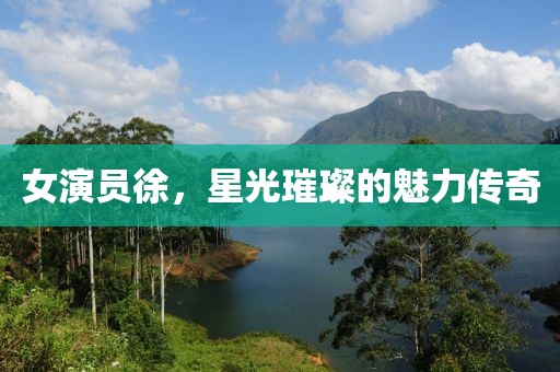 女演员徐，星光璀璨的魅力传奇