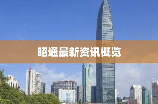 驾校优势 第4页