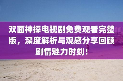 双面神探电视剧免费观看完整版，深度解析与观感分享回顾剧情魅力时刻！