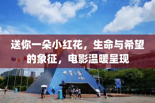 送你一朵小红花，生命与希望的象征，电影温暖呈现