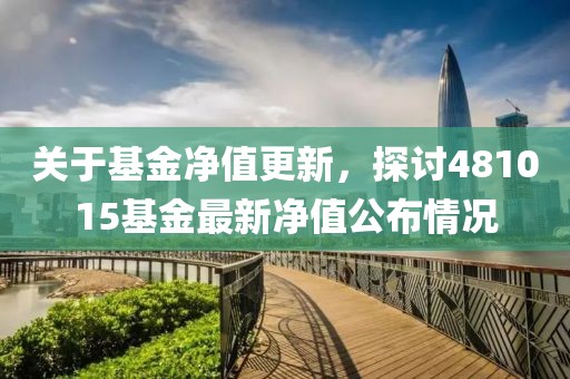 关于基金净值更新，探讨481015基金最新净值公布情况