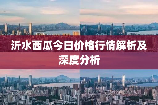 沂水西瓜今日价格行情解析及深度分析