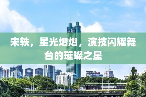 宋轶，星光熠熠，演技闪耀舞台的璀璨之星
