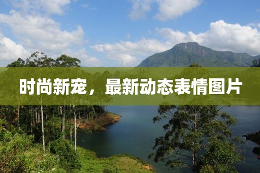 时尚新宠，最新动态表情图片
