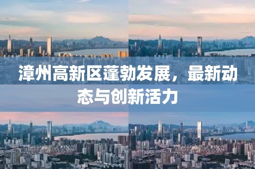 漳州高新区蓬勃发展，最新动态与创新活力