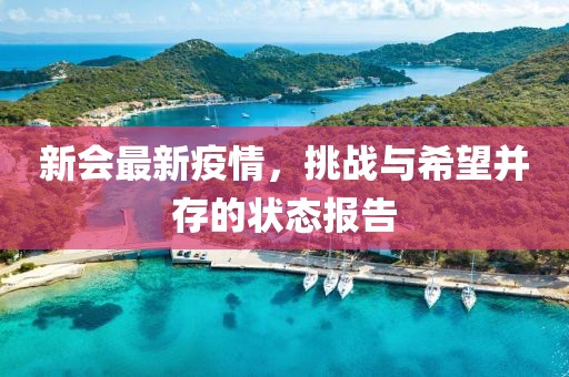 新会最新疫情，挑战与希望并存的状态报告