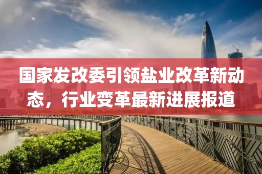 国家发改委引领盐业改革新动态，行业变革最新进展报道