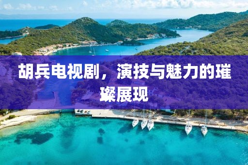 胡兵电视剧，演技与魅力的璀璨展现
