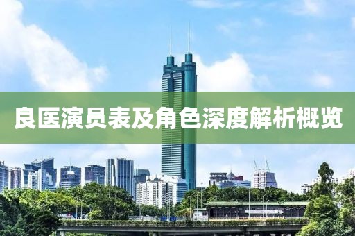 良医演员表及角色深度解析概览