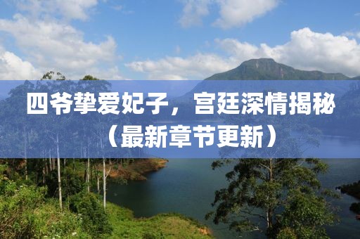 四爷挚爱妃子，宫廷深情揭秘（最新章节更新）