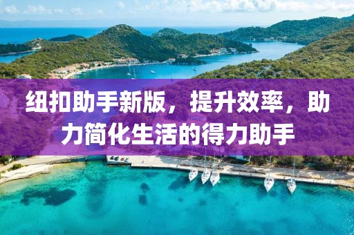 纽扣助手新版，提升效率，助力简化生活的得力助手